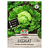 Sperli Groentezaden Great Lakes 118 (Lactuca sativa) | BAUHAUS
