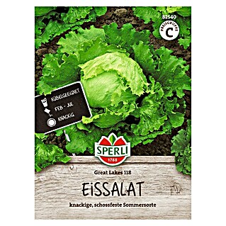 Sperli Groentezaden Great Lakes 118 (Lactuca sativa)