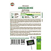 Sperli Bloemzaden (Bellis perennis, Verschillende kleuren) | BAUHAUS