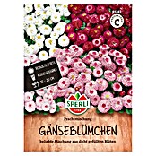 Sperli Bloemzaden (Bellis perennis, Verschillende kleuren) | BAUHAUS