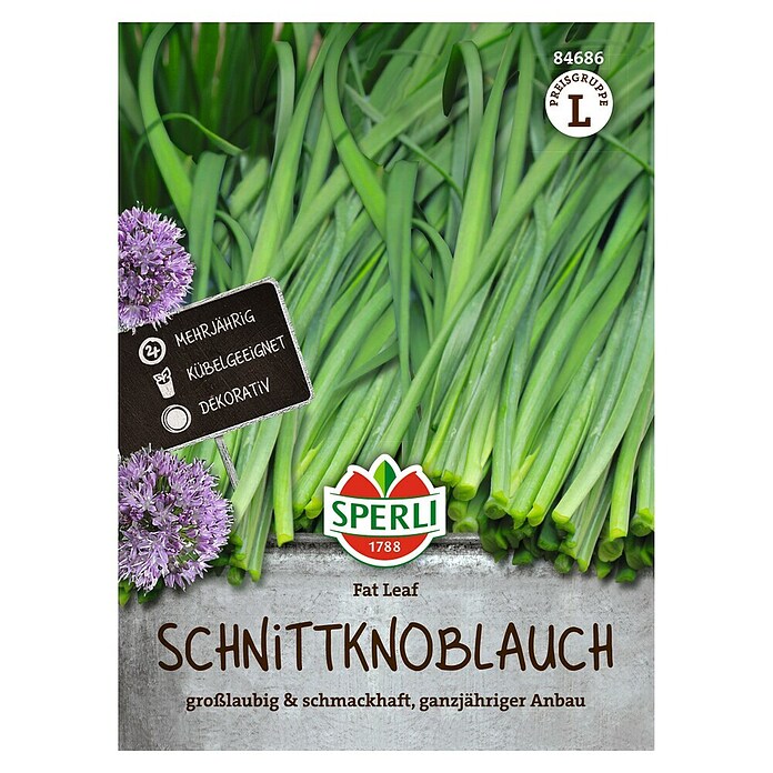 Sperli Groentezaden (Allium x Hybrida) | BAUHAUS