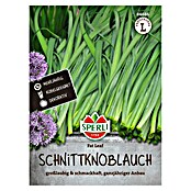Sperli Groentezaden (Allium x Hybrida) | BAUHAUS