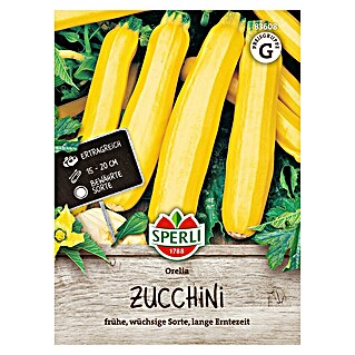 Sperli Groentezaden Orelia (Cucurbita pepo)