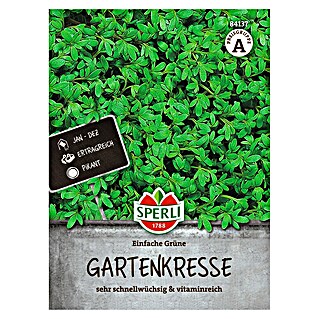 Sperli Kruidenzaad (Lepidium sativum)