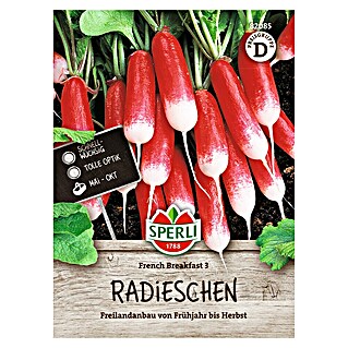 Sperli Groentezaden French Breakfast (Raphanus sativus)