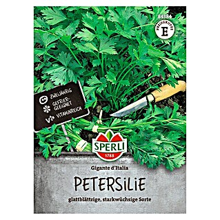 Sperli Kruidenzaad Gigante d'Italia (Petroselinum crispum)