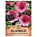 Sperli Bloemzaden 