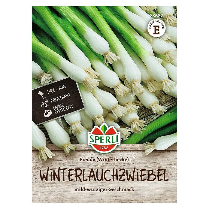 Sperli Groentezaden Freddy (Allium fistulosum) | BAUHAUS