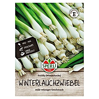 Sperli Groentezaden Freddy (Allium fistulosum)
