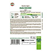Sperli Groentezaden Maxi (Phaseolus vulgaris) | BAUHAUS