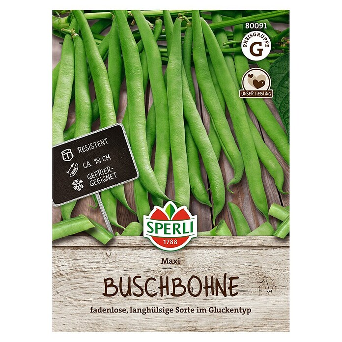 Sperli Groentezaden Maxi (Phaseolus vulgaris) | BAUHAUS
