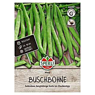 Sperli Groentezaden Maxi (Phaseolus vulgaris)
