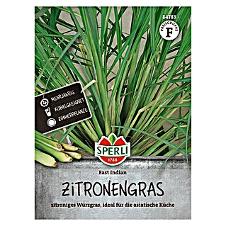Sperli Kruidenzaad (Cymbopogon flexuosus)
