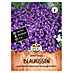 Sperli Bloemzaden 
