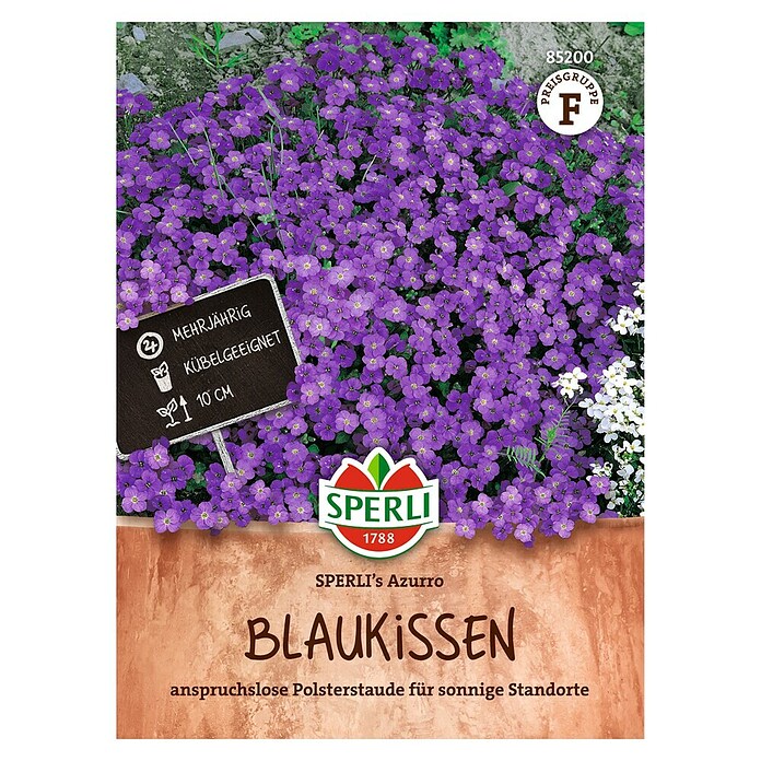 Sperli Bloemzaden (Aubrieta x Hybrida, Paars) | BAUHAUS