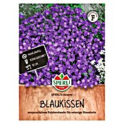Sperli Bloemzaden (Aubrieta x Hybrida, Paars) | BAUHAUS
