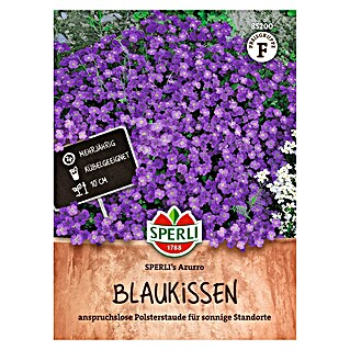 Sperli Bloemzaden (Aubrieta x Hybrida, Paars)
