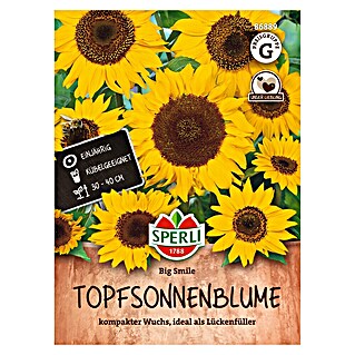 Sperli Bloemzaden Big Smile (Helianthus annuus, Geel)