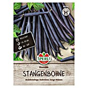 Sperli Groentezaden Blauhilde (Phaseolus vulgaris) | BAUHAUS