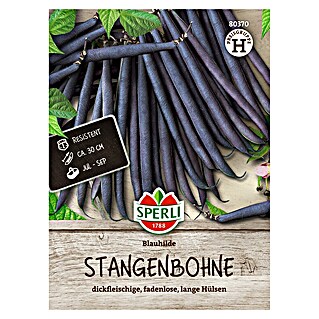 Sperli Groentezaden Blauhilde (Phaseolus vulgaris)
