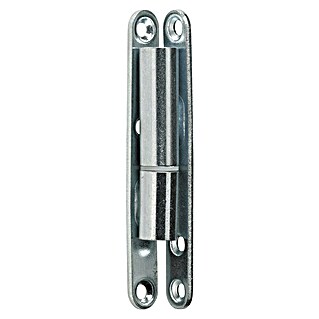 Hettich Türband Renovierband mit Kunststoffstift (Ø x L: 8 x 63 mm, Traglast: 10 kg, Verzinkt, Silber)