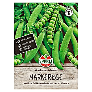 Sperli Groentezaden Wonder van Kelvedon (Pisum sativum)