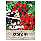 Sperli Groentezaden (Raphanus sativus) | BAUHAUS