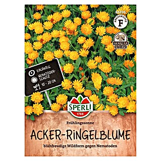 Sperli Bloemzaden (Calendula arvensis, Geel)