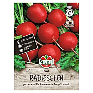 Sperli Groentezaden Parat (Raphanus sativus)