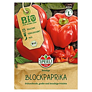 Sperli Groentezaden Bendigo (Capsicum annuum)