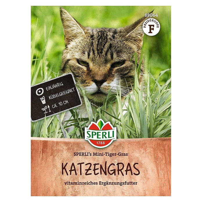 Sperli Kattengras (Verschillende soorten) | BAUHAUS