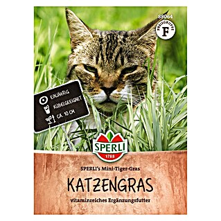Sperli Kattengras (Verschillende soorten)
