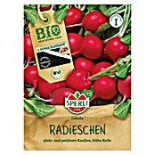 Sperli Groentezaden (Raphanus sativus) | BAUHAUS