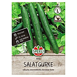 Sperli Groentezaden Bella (Cucumis sativus)