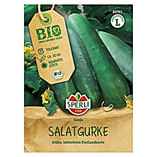 Sperli Groentezaden Sonja (Cucumis sativus)