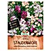Sperli Bloemzaden 