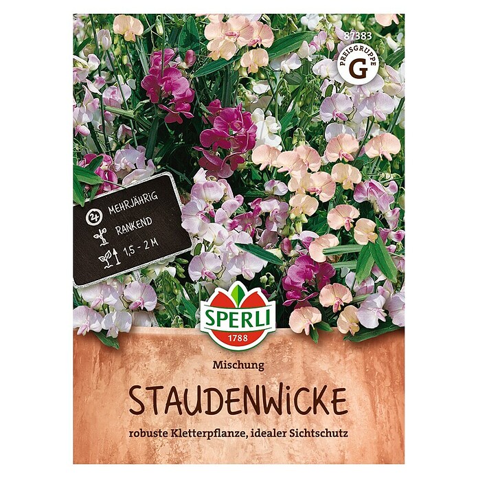 Sperli Bloemzaden (Lathyrus latifolius) | BAUHAUS