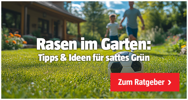 Tipps und Ideen für sattes Grün