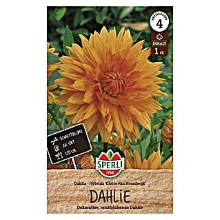 Sperli Bloembollen (Dahlia, Oranje)