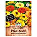 Sperli Bloemzaden 