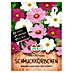 Sperli Bloemzaden Mix Dreams 