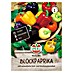 Sperli Groentezaden Blocky Mix 