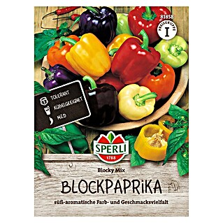 Sperli Groentezaden Blocky Mix (Capsicum annuum)