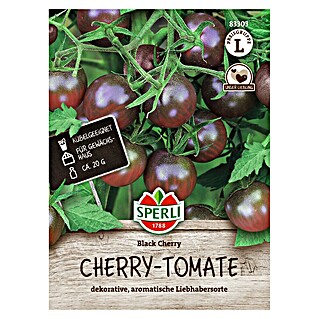 Sperli Groentezaden Black Cherry (Solanum lycopersicum)