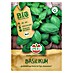 Sperli Kruidenzaad Groene Genoveser Bio 