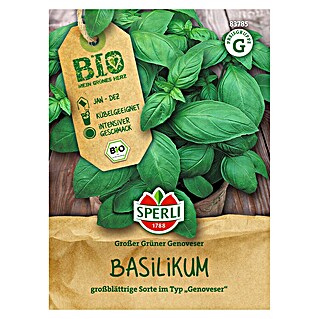 Sperli Kruidenzaad Groene Genoveser Bio (Ocimum basilicum)
