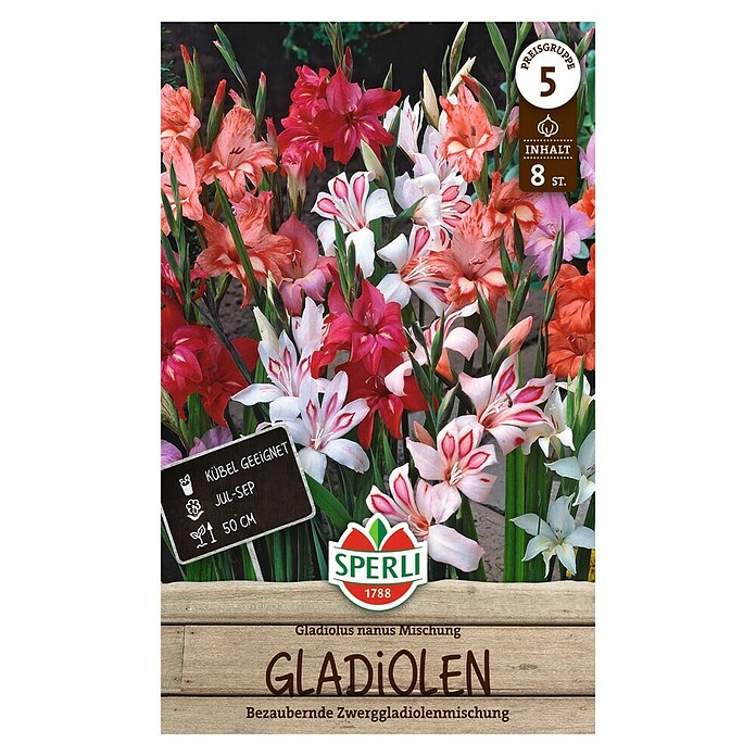 Sperli Bloembollen (Gladiolus, Verschillende kleuren) | BAUHAUS