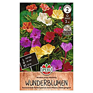 Sperli Bloembollen (Mirabilis jalapa, Verschillende kleuren)