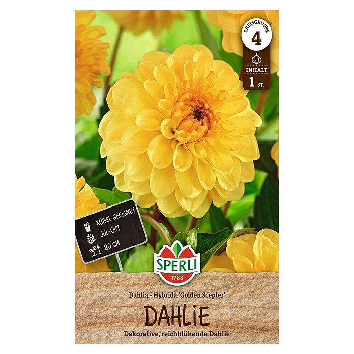 Sperli Bloembollen Golden Scepter (Dahlia, Geel) | BAUHAUS