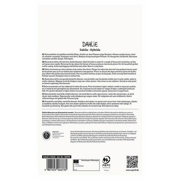 Sperli Bloembollen (Dahlia x Hybrida, Paars) | BAUHAUS